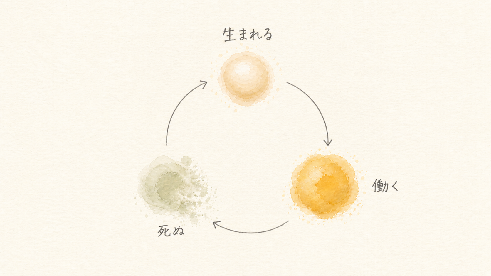 細胞のサイクルの模式図。生まれ・働き・死んで入れ替わる流れを表す
